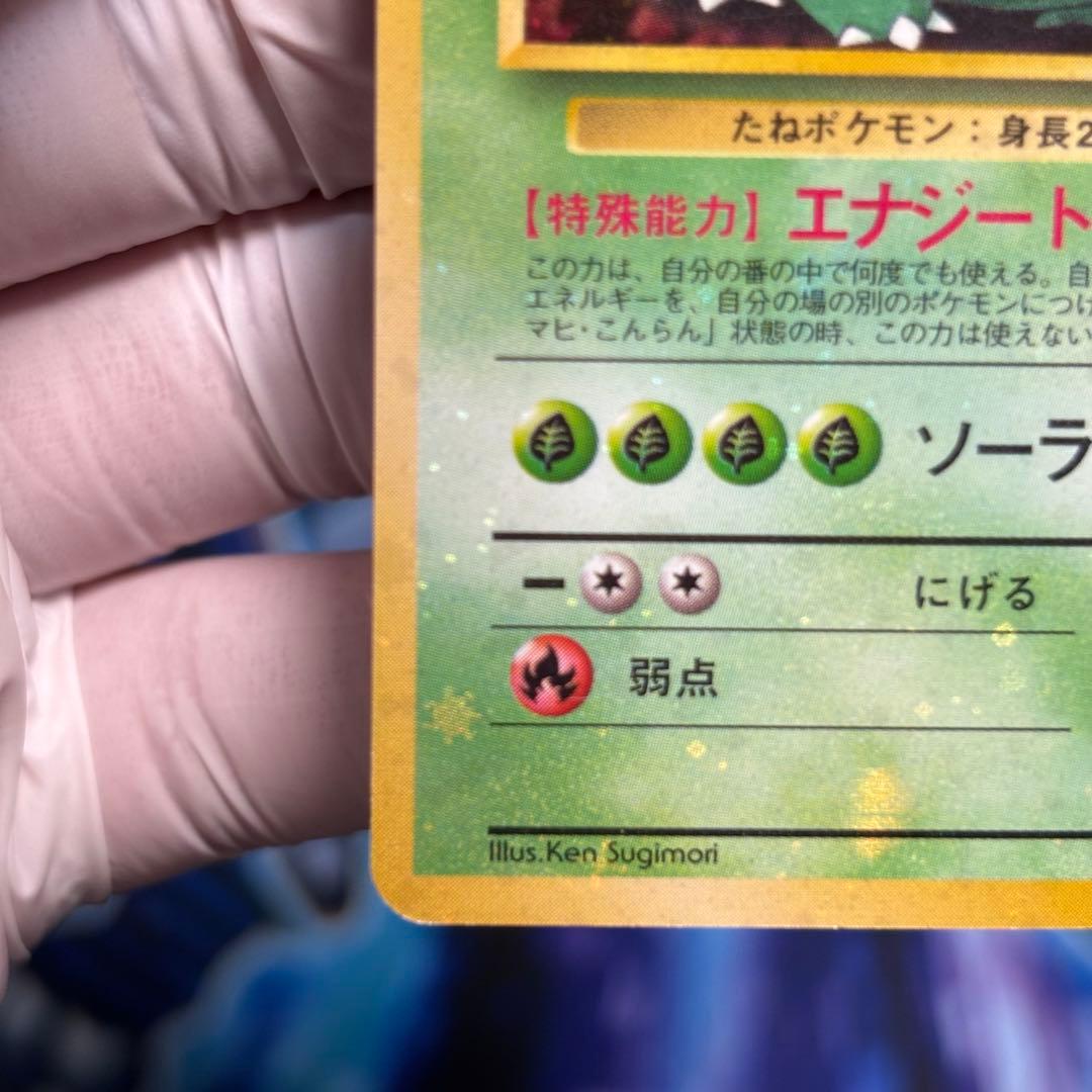 【全ホロ強】フシギバナ_「とりかえっこプリーズ」 キャンペーンカード