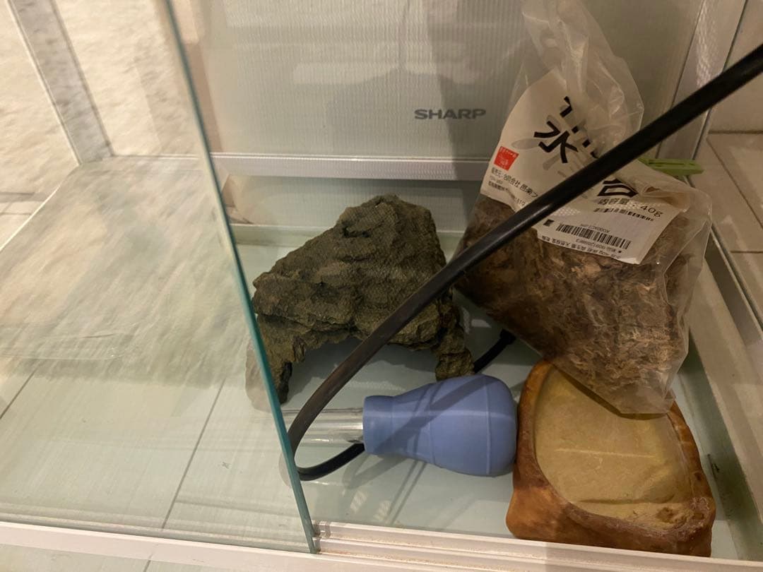 SANKO Pantheon White レオパードゲッコウ 暖突付き水槽