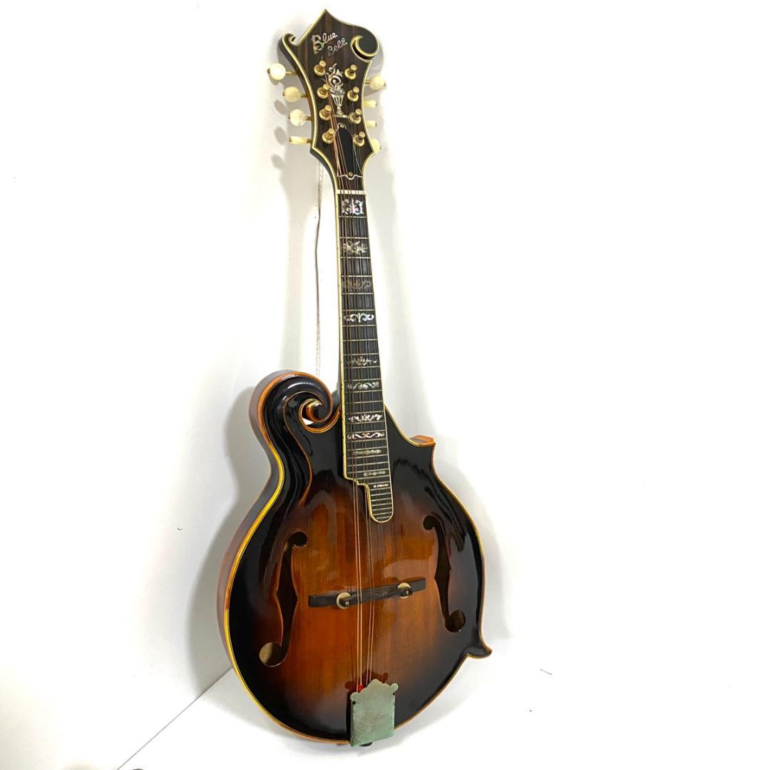BLUEBELL ブルーベル F-12 フラットマンドリン