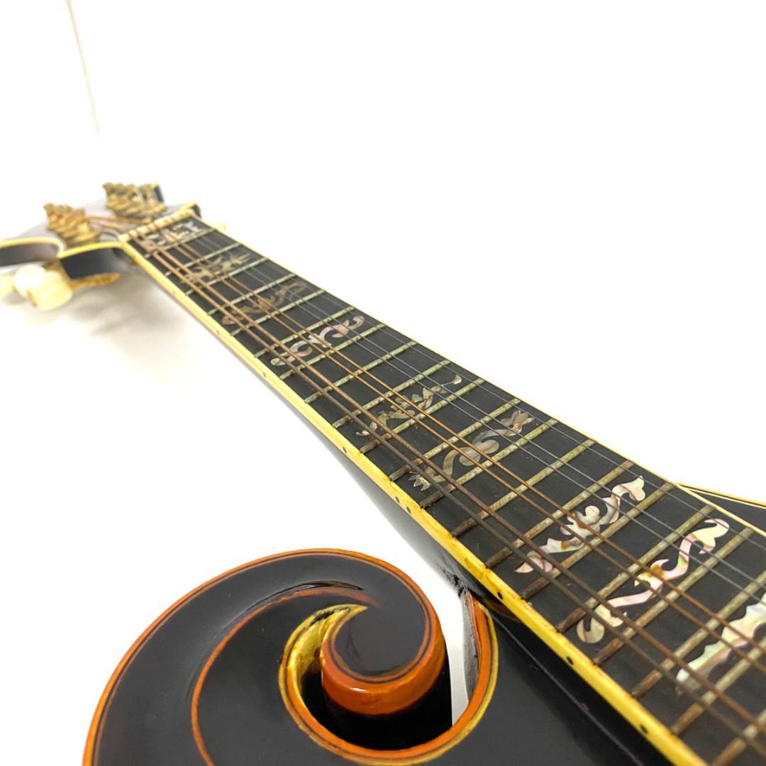 BLUEBELL ブルーベル F-12 フラットマンドリン