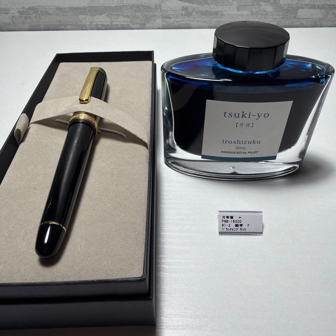 0232 オーバーホール済み 万年筆 PILOT パイロット エリート14k