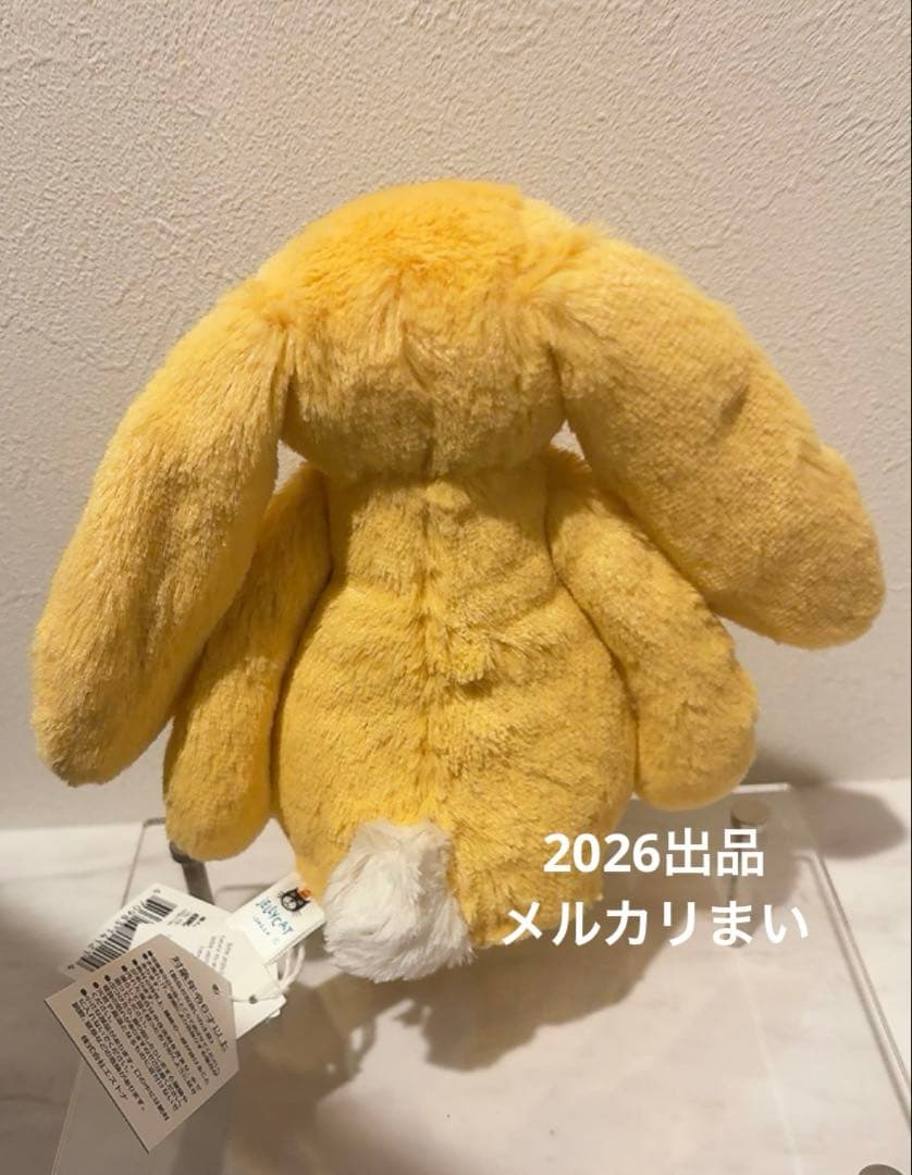  Little Bashful Sunshine Bunny 兎