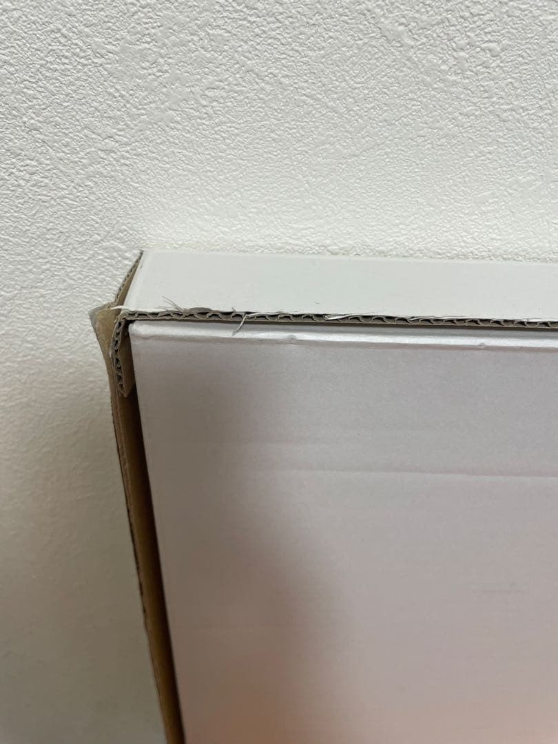 ☆カレンホイプディングの絵画☆