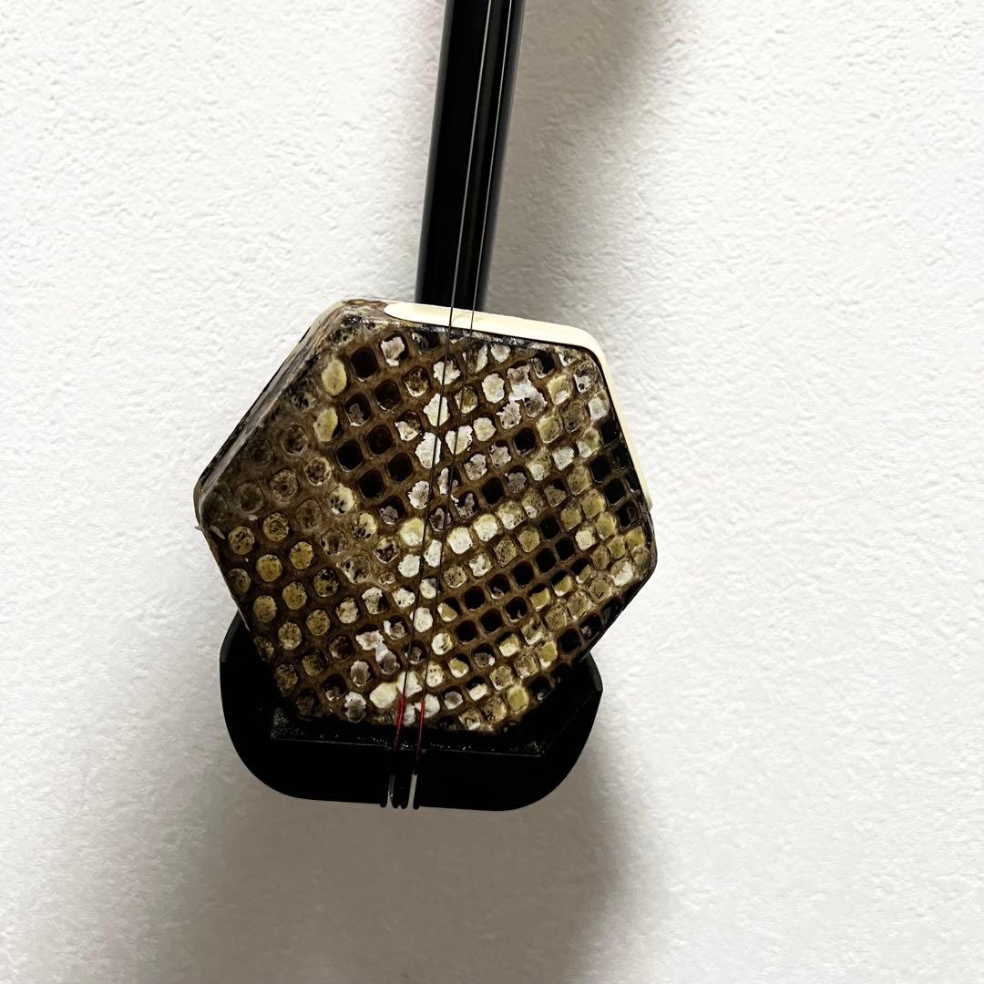 二胡 天然 蛇皮 敦煌牌　民族楽器 上海 ケース 謌 弦楽器 DUNHUANG