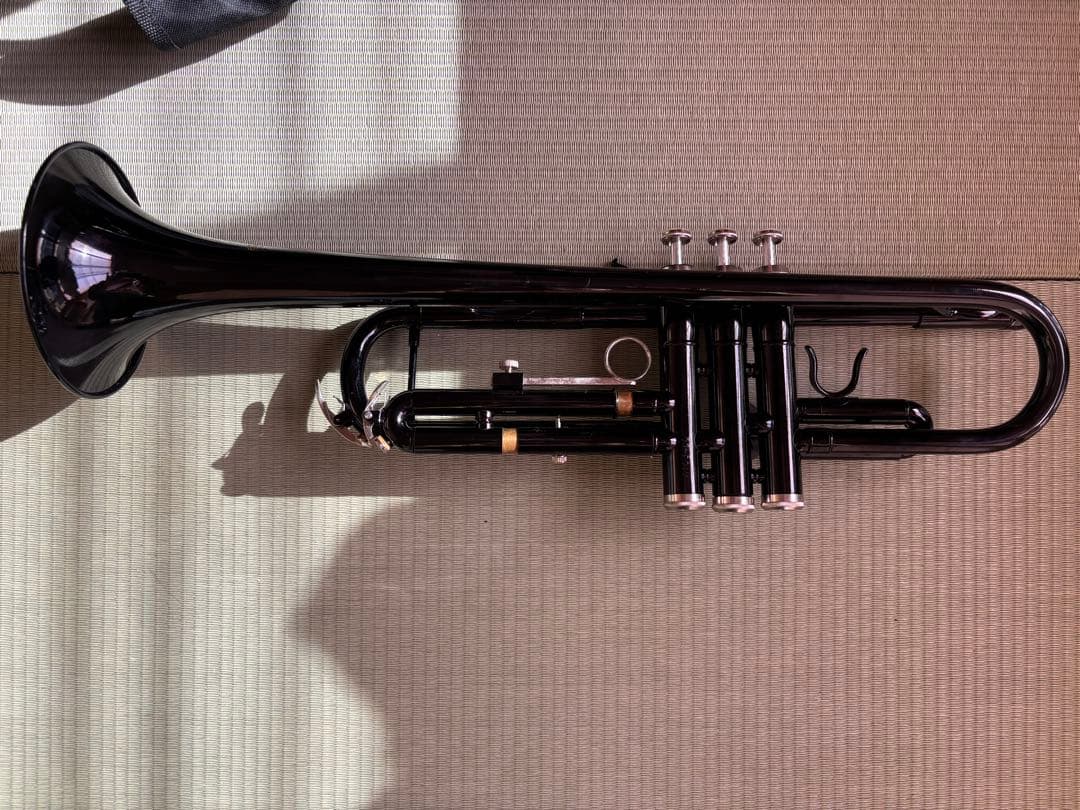 ブラックトランペット ケース付き