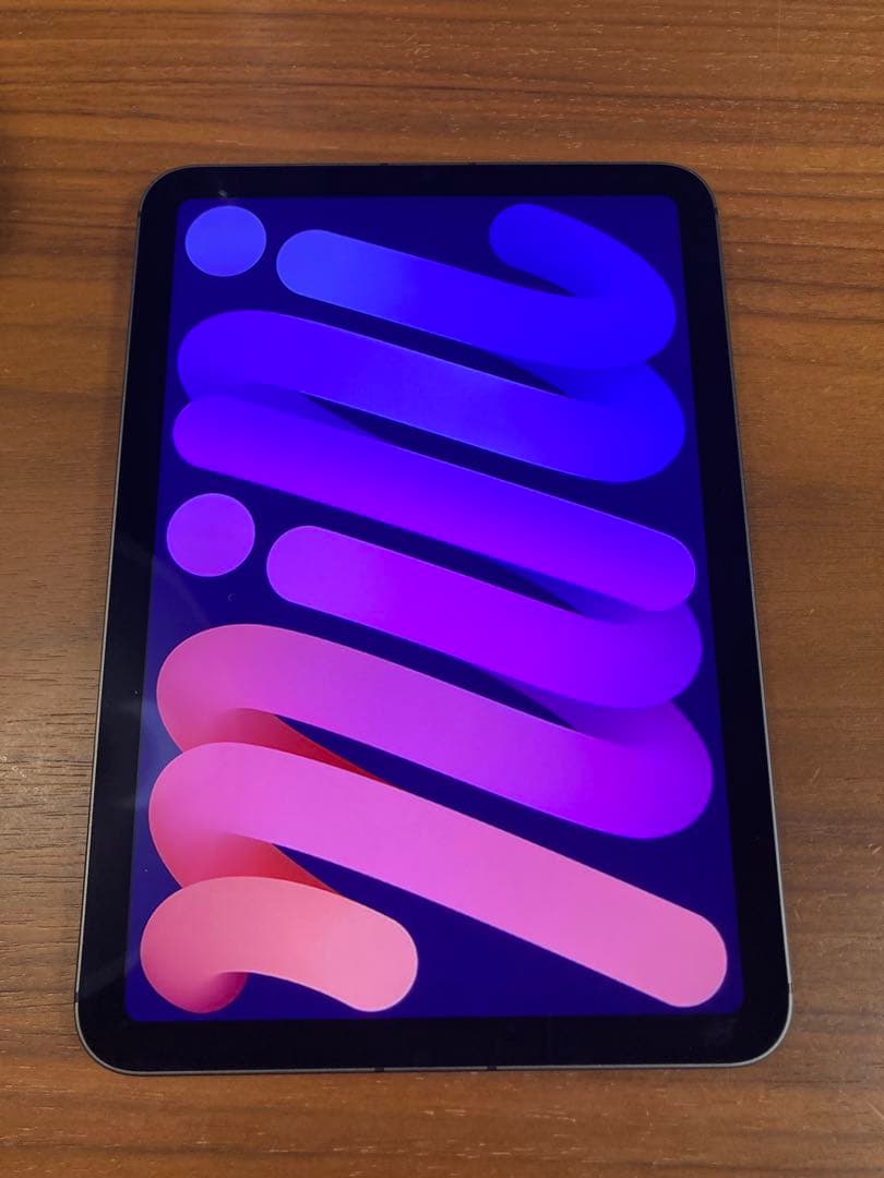 iPad本体 Apple iPad mini Wi-Fi+Cellular 256GB Amazon.com : Apple iPad Mini (Wi-Fi + Cellular, 256GB) - Space