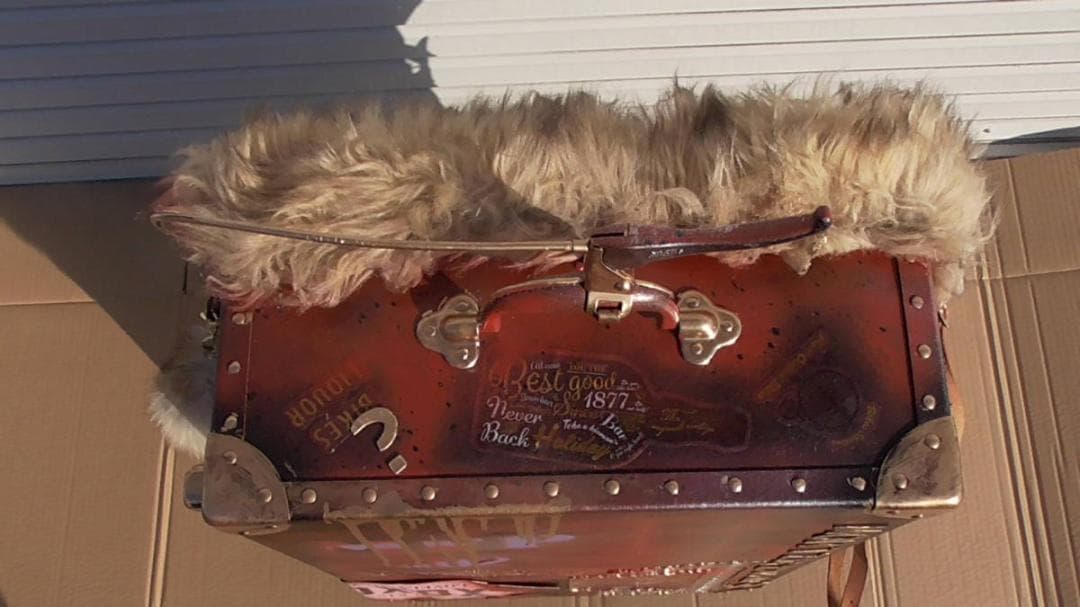 旅行鞄 個性的 ドール 収納 インダストリアル スチームパンク ブレーキ