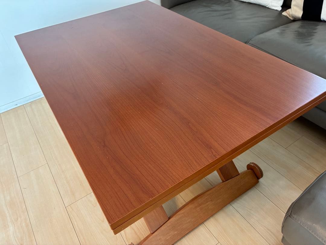 シンタロウ様　送料込み　カリガリス コヌビア マスコッティ テーブル