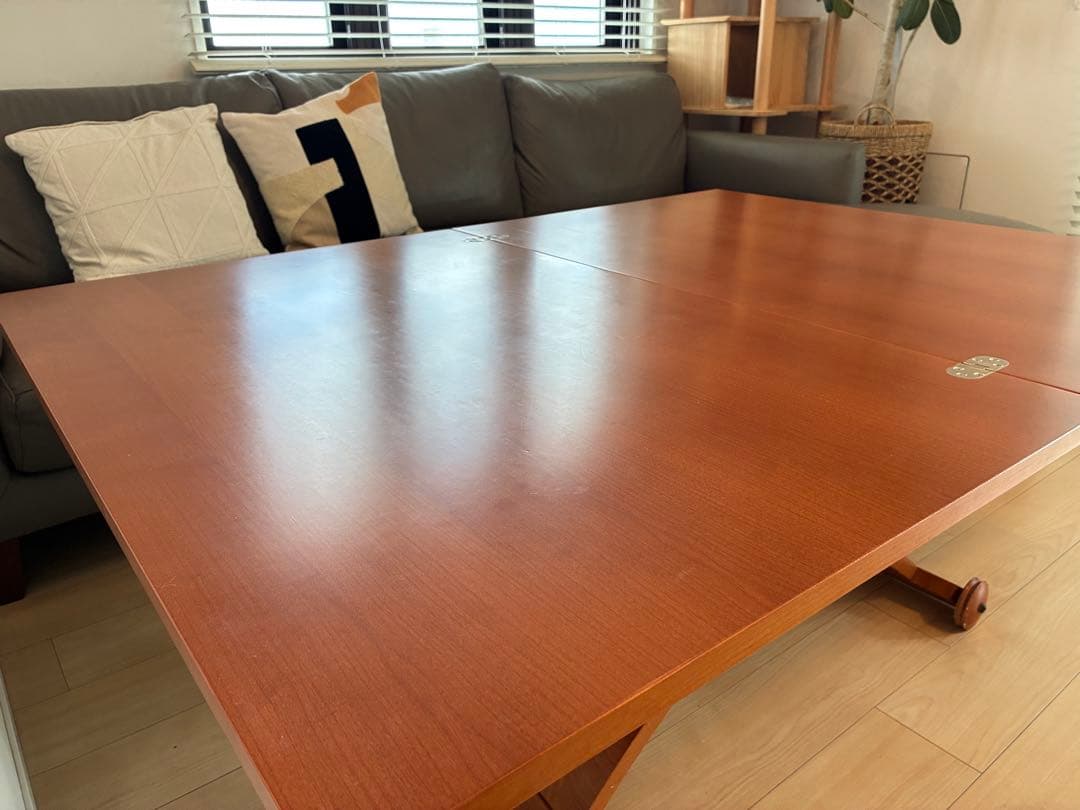 シンタロウ様　送料込み　カリガリス コヌビア マスコッティ テーブル