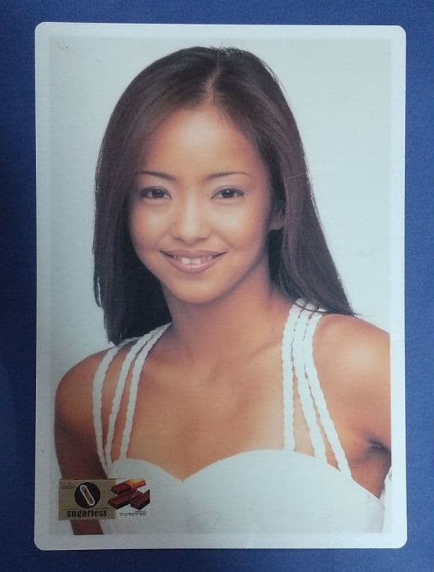 安室奈美恵 非売品 下敷き 1996年物 ロッテ製品ガイド 当時物 レトロ