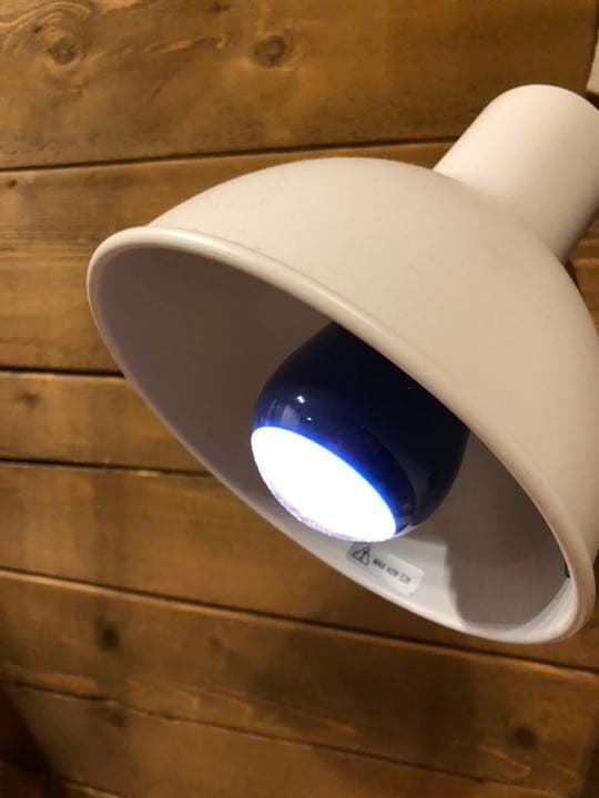 戦争中 燈火管制用電球 マツダ 昭和レトロ