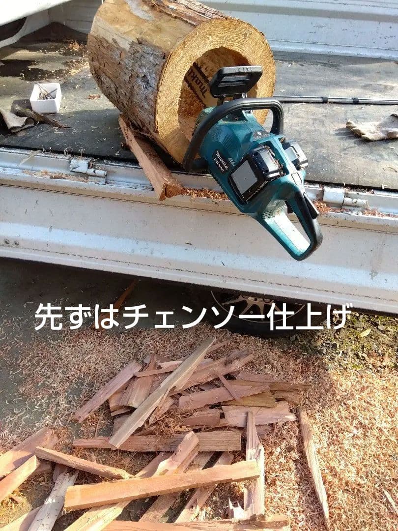 みつばち、昆虫飼育用 中空洞木材 杉材 樹洞 くり抜き 丸洞 丸太