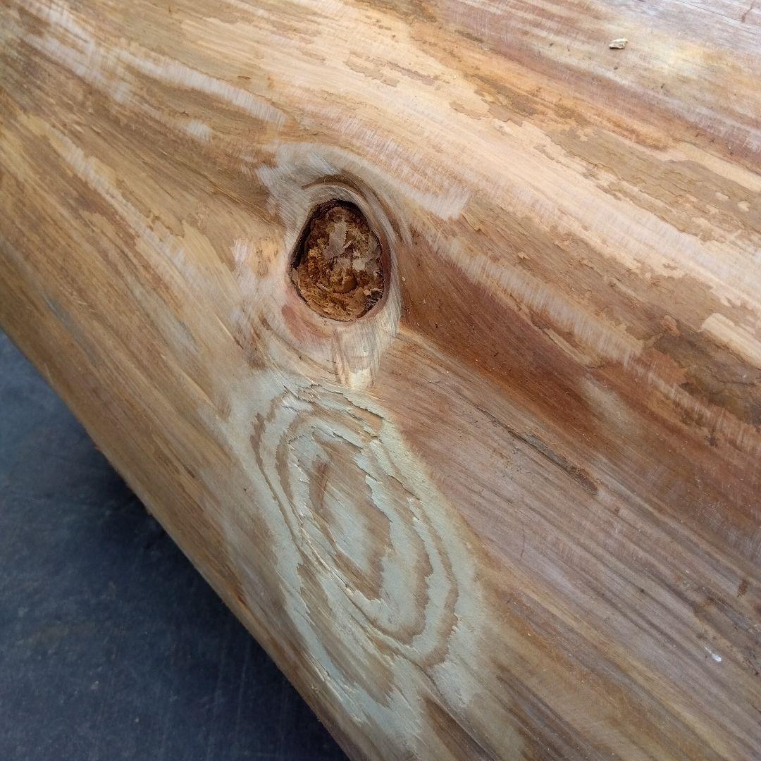 みつばち、昆虫飼育用 中空洞木材 杉材 樹洞 くり抜き 丸洞 丸太