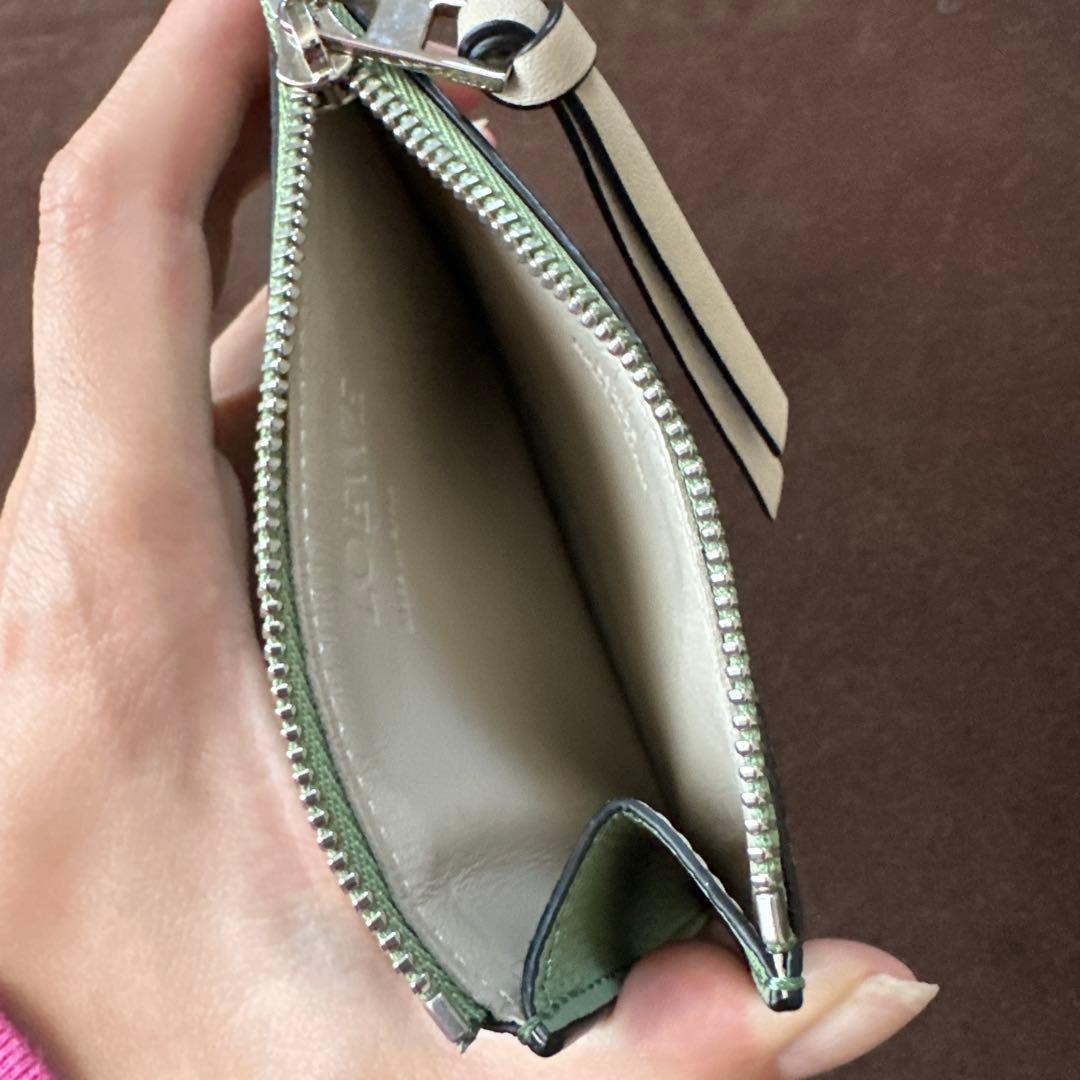 LOEWE レザーケース グリーンブラウン