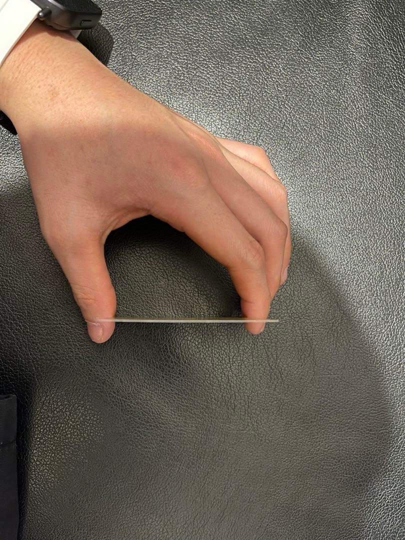 メガリザードンx ex mur