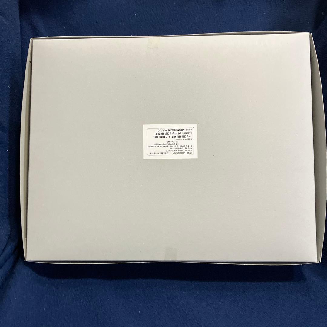 MGデスティニーガンダム エクストリームブラストモード 送料込