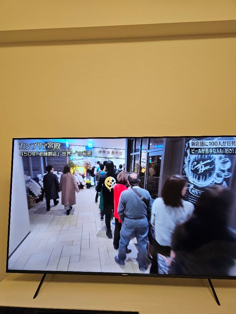 へ*と様 ハイセンス 65E7H 2024年製 細い縦線と横線あり 手渡し