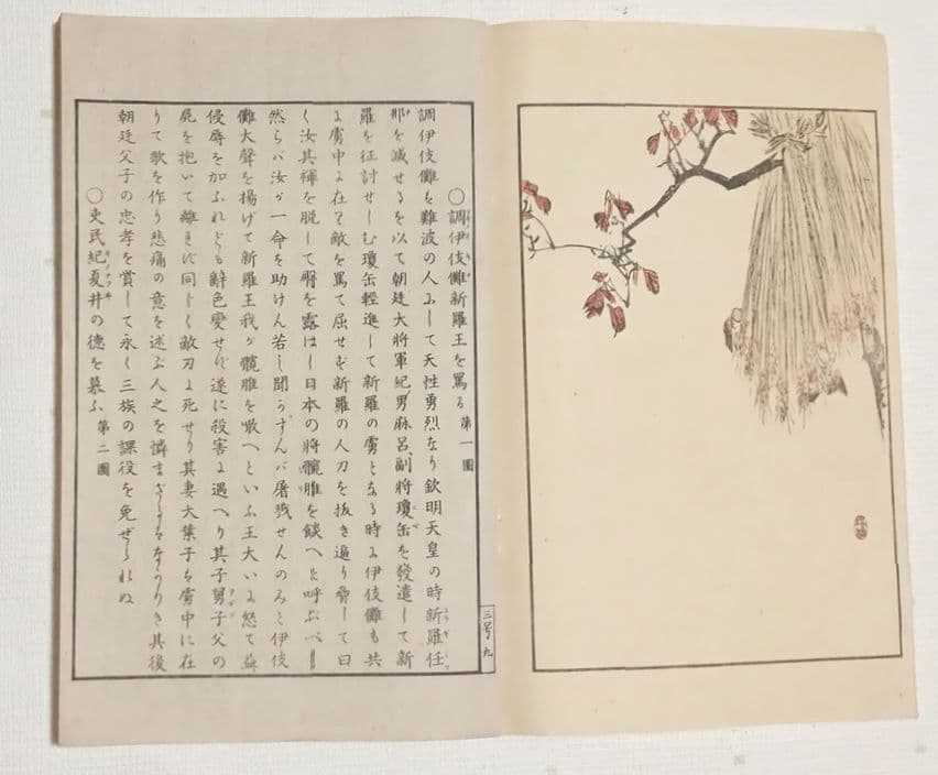 多色刷り木版画本日本歴史画報第三号編輯者松本楓湖明治25年大倉書店