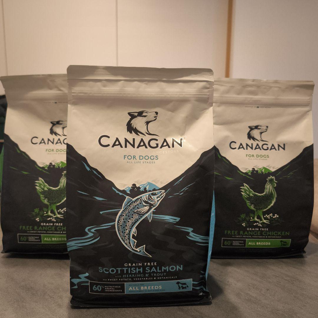 CANAGAN グレインフリー スコティッシュサーモン2袋 CANAGAN グレイン