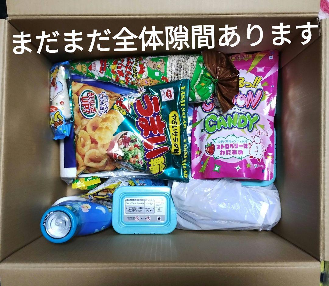 先入れトイレペーパー、洗剤先入れまとめて