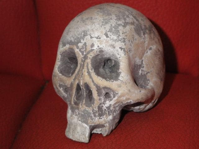 ビンテージ☆スカル☆置物☆2☆ドクロ☆野晒し☆ガイコツ