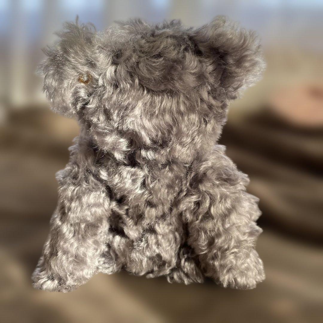 シュタイフ/Steiff◇2001年Fes限定◇「Sandey」 - メルカリ