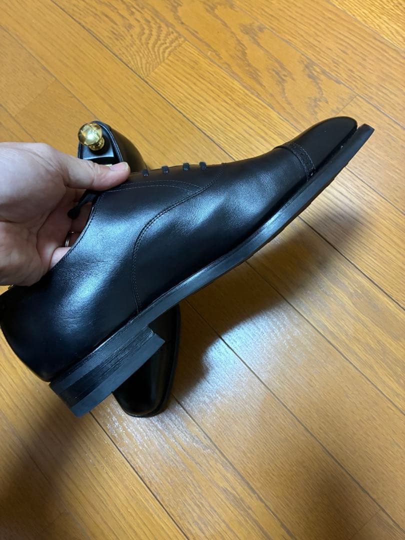 【ツリー込み】三陽山長　勇也　7.5 25.5