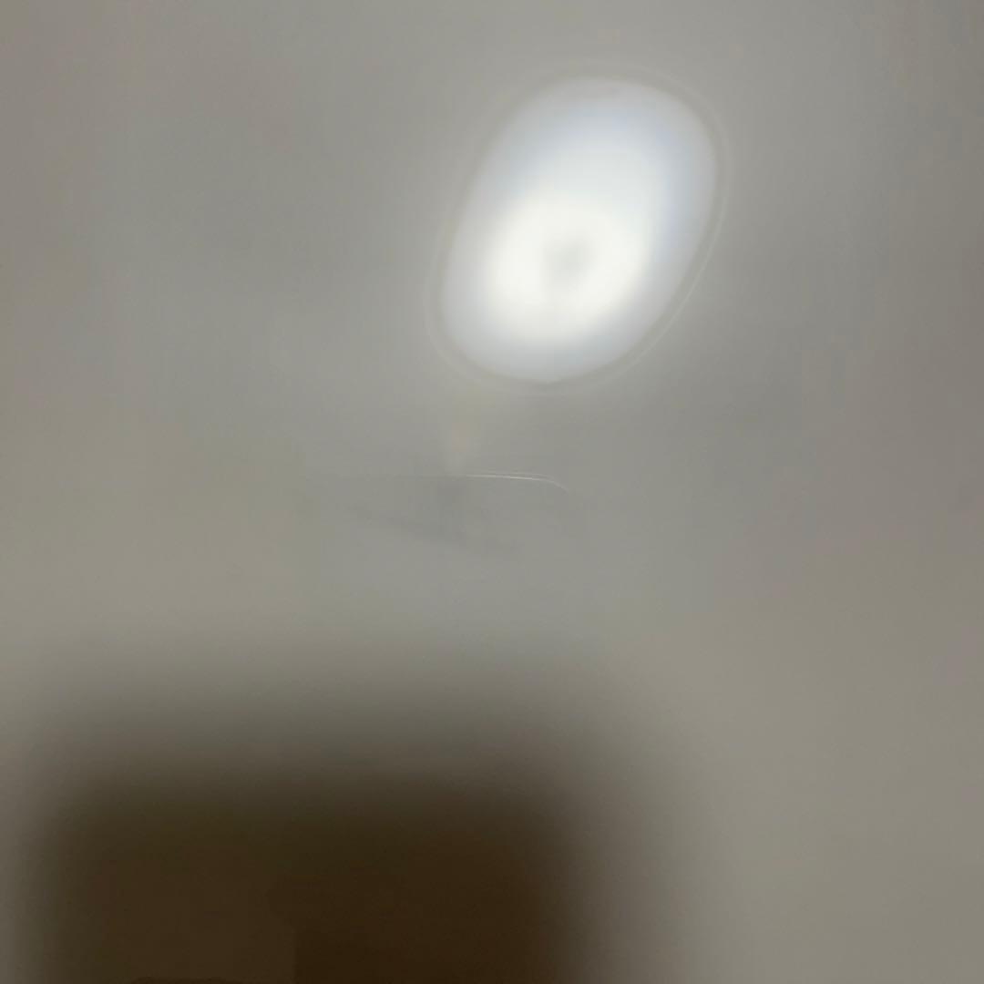 ピアノの森 コンサート サイン色紙 反田恭平 牛牛 髙木竜馬