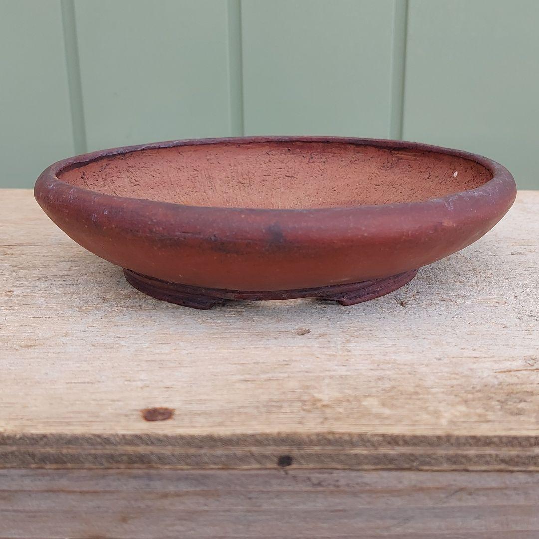 盆栽鉢　ミニ盆栽鉢　富舟 盆栽鉢 ミニ盆栽鉢 富舟 盆栽鉢 富舟 富舟さんの鉢 | みさきのミニ盆栽遊び