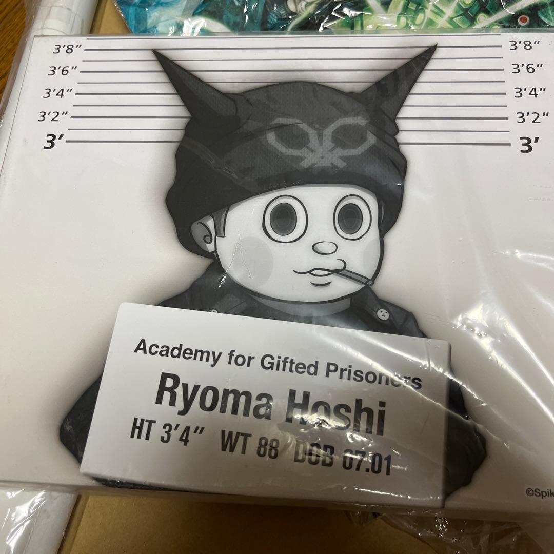 ダンガンロンパ　星竜馬　タペストリー　キャンバスボード