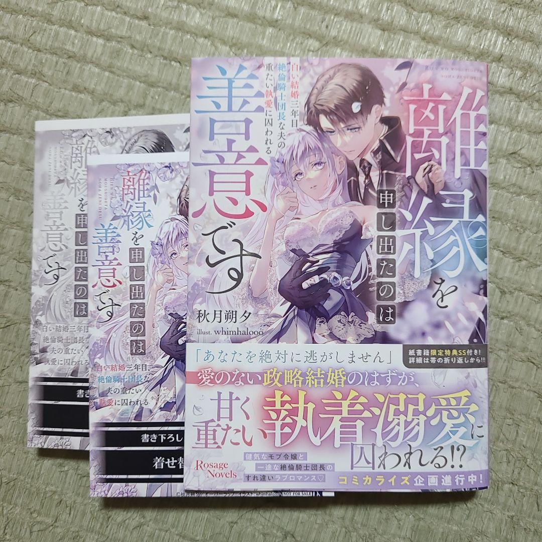 離縁を申し出たのは善意です ～白い結婚三年目、絶倫騎士団長な夫の重たい執愛に囚…