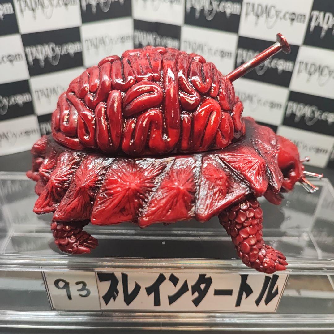 93ブレインタートル