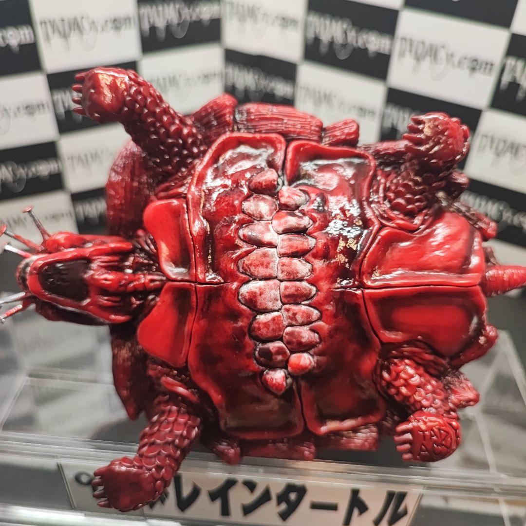 93ブレインタートル