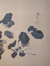 模写】絵画 川端龍子 日本画 繊細な葉と花の美を描いた