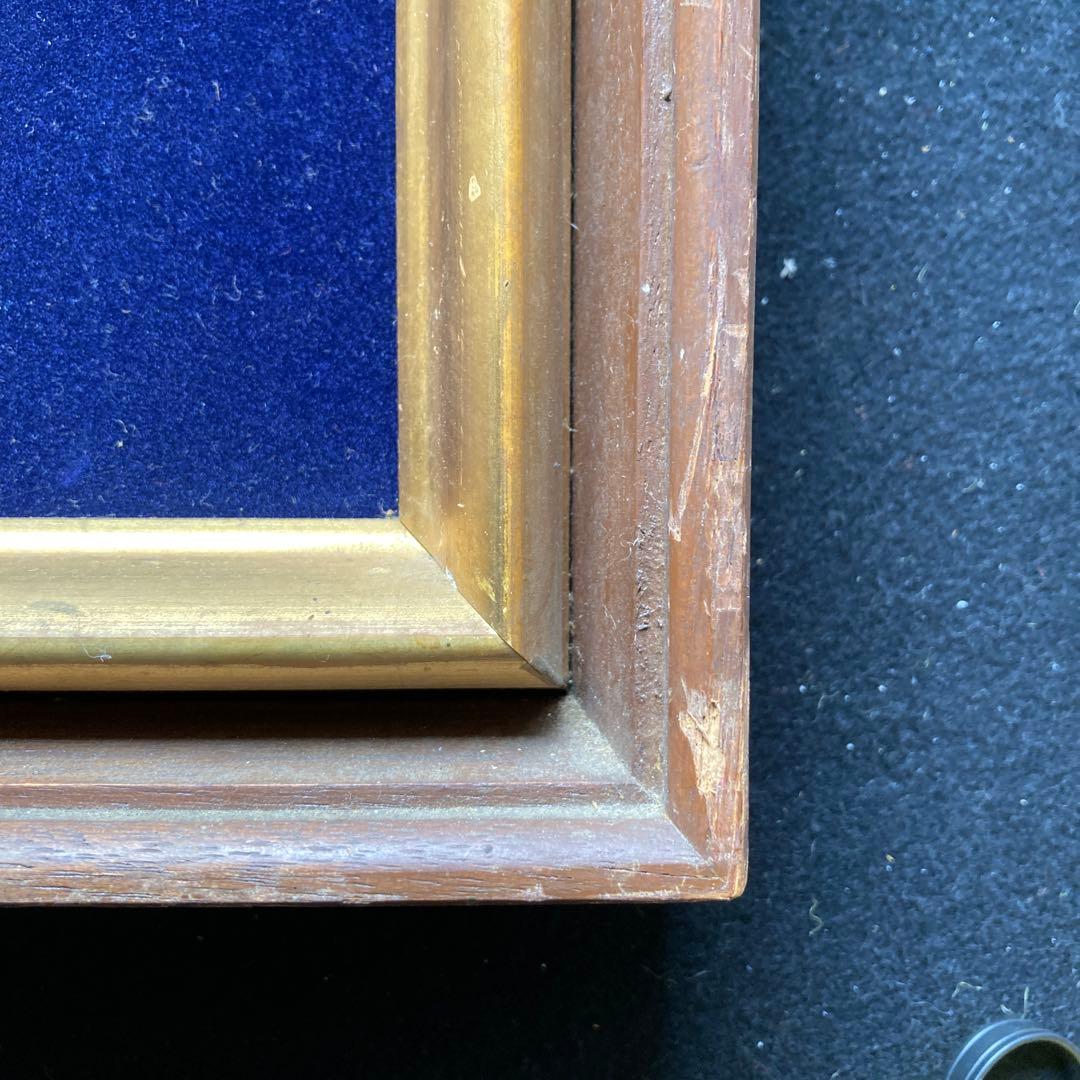 吉田節子「菊」10F額73.5×66絵53×46cm