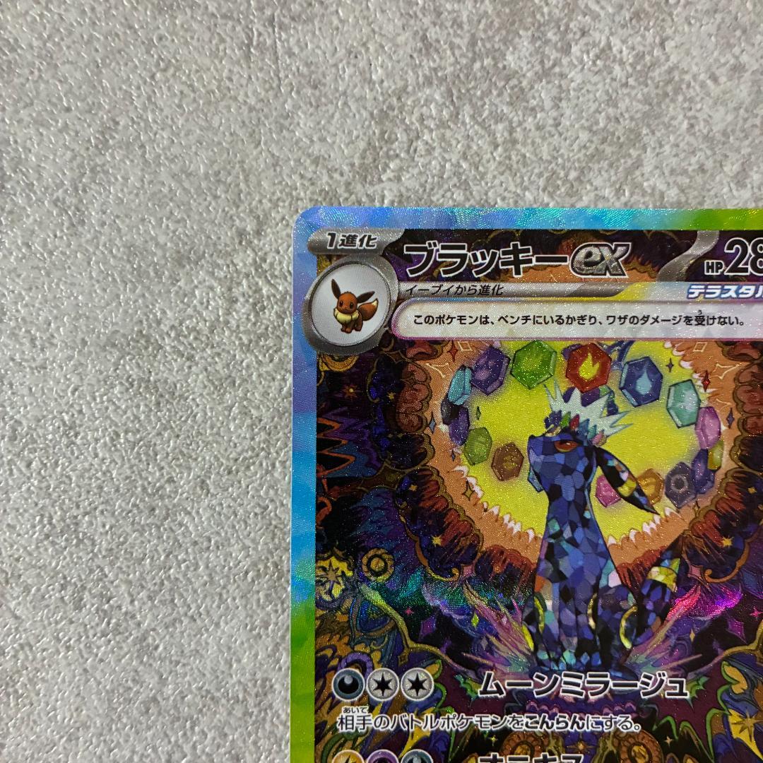 ブラッキーex SAR テラスタルフェス