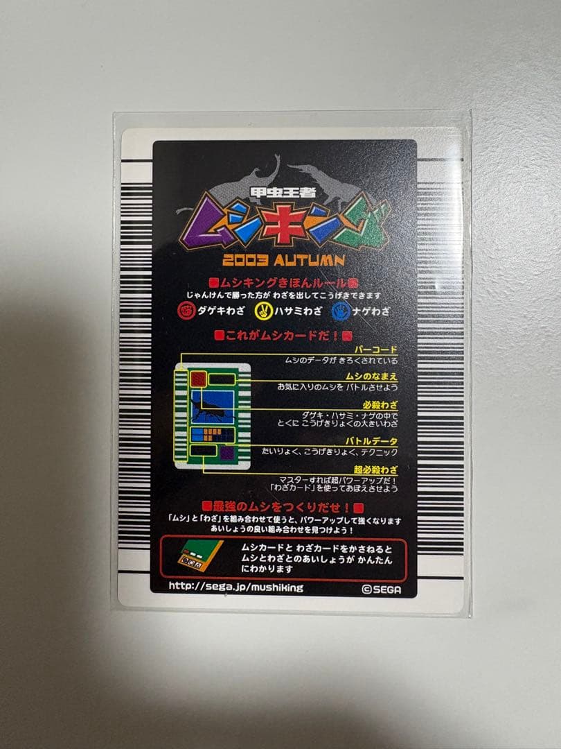 コーカサスオオカブト　2003 AUTUMN