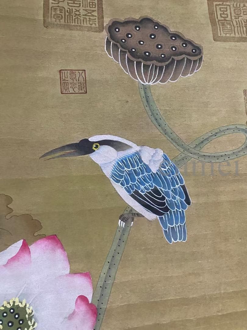 中国古美術・旧藏 明代風・吕紀款・花鳥図・四尺中堂掛軸・