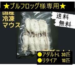 ★ブルフロッグ★国産冷凍マウスアダルトL30匹 リタイア10匹 Amazon | 国産 冷凍マウス アダルト10匹 | しあわせをよぶふくろうの城