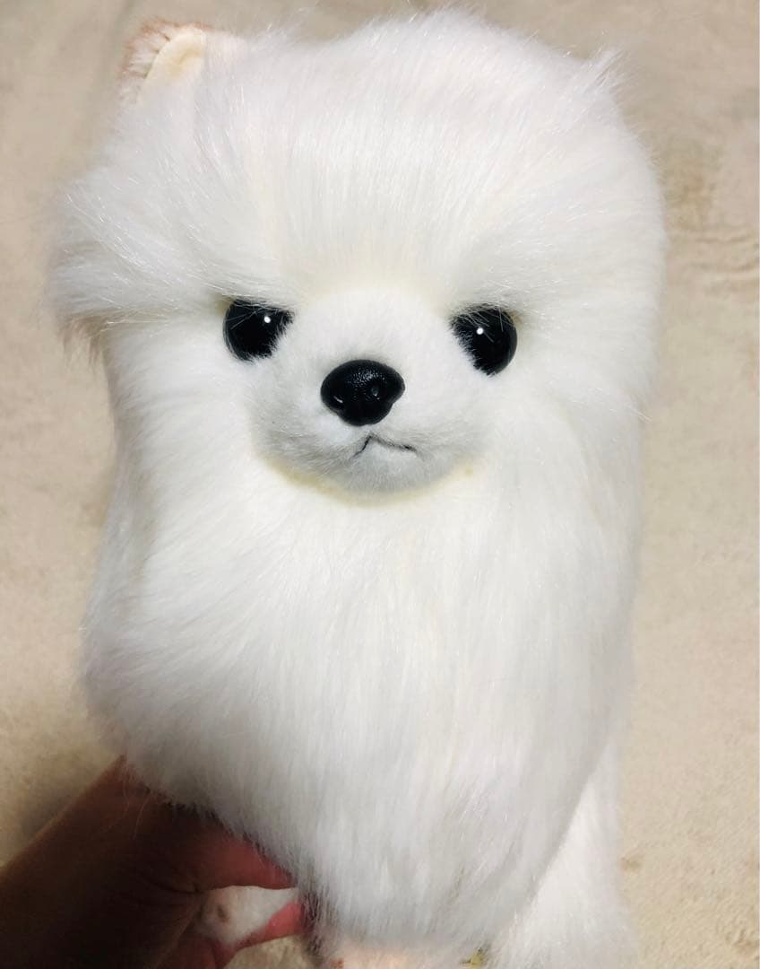 犬　三英　スピッツ　ポメラニアン　ぬいぐるみ