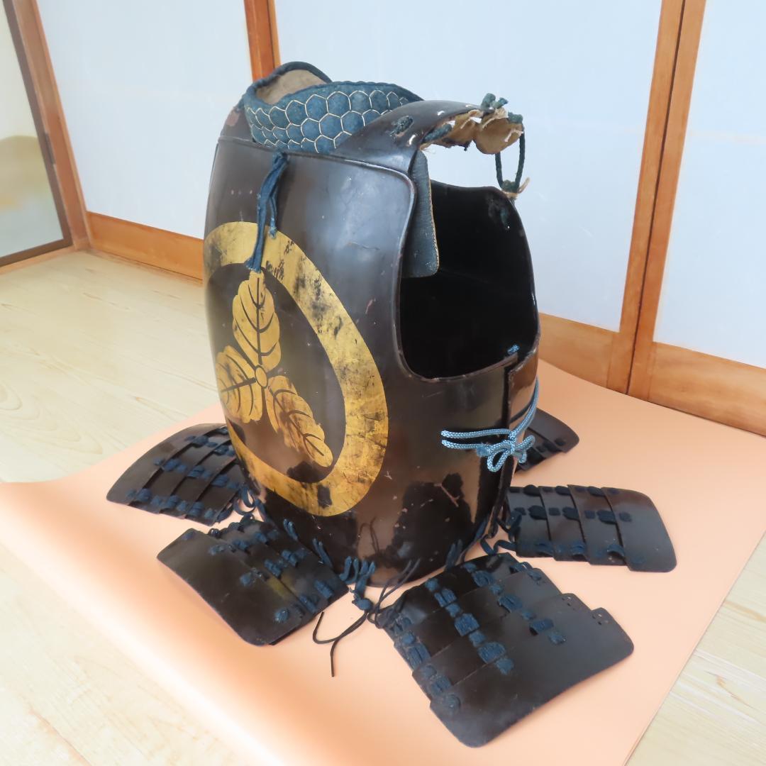 丸に三つ柏紋　貸し具足（江戸時代）/鎧・甲冑・胴