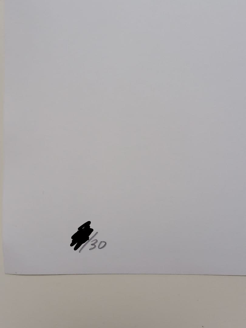 沢渡朔 オリジナルプリント 限定30部 直筆サイン エディションナンバー