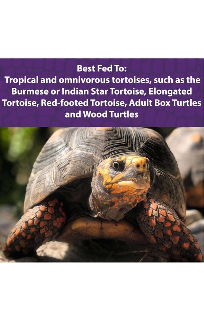 Mazuri トータスダイエット11.34Kg リクガメ、イグアナ 楽天市場