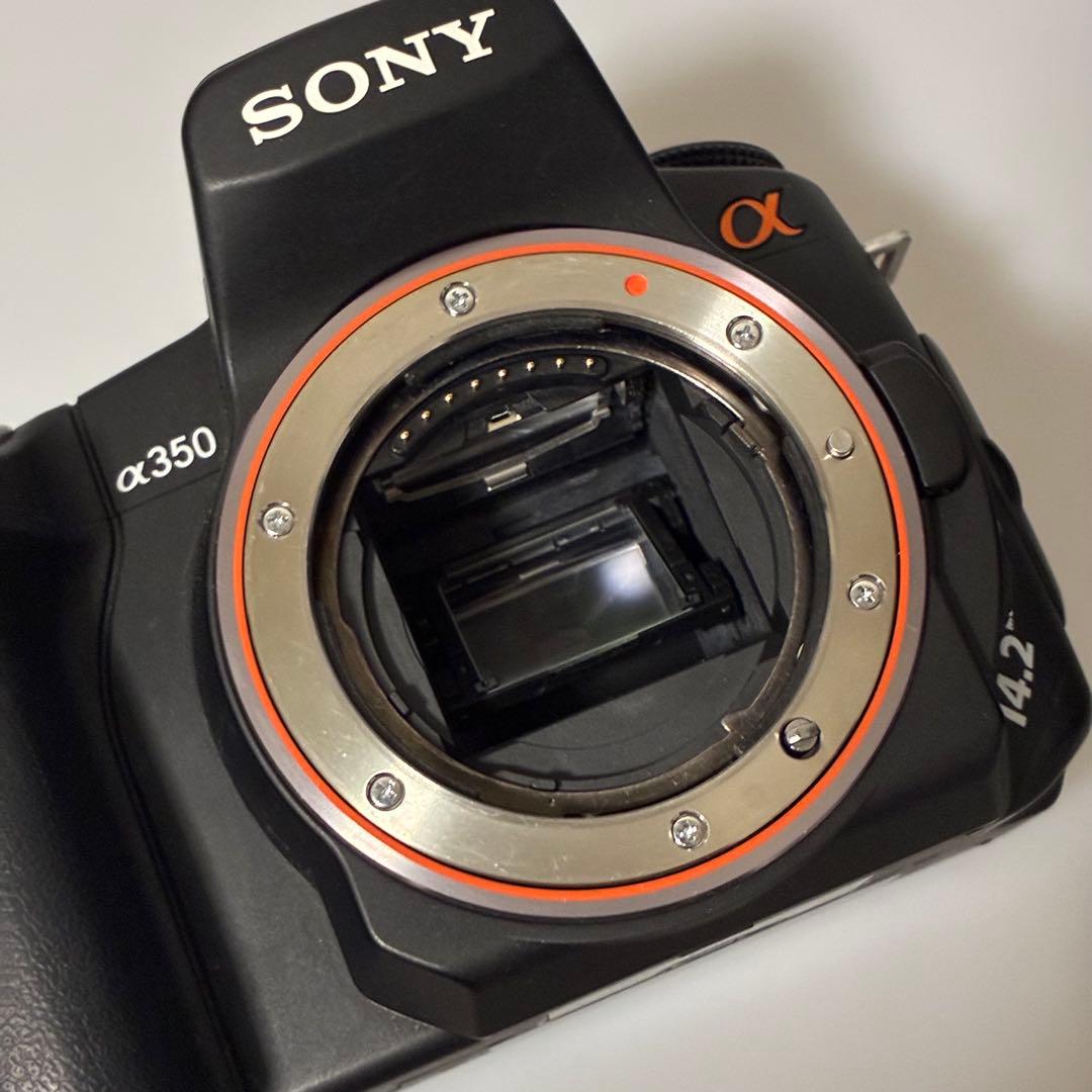 一眼レフデビューにおすすめ！！】SONY α350 初心者セット【作例付き