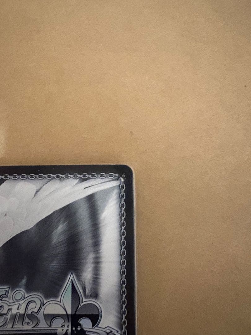 \"自由をち掴むため\"サシャ　サイン　sp