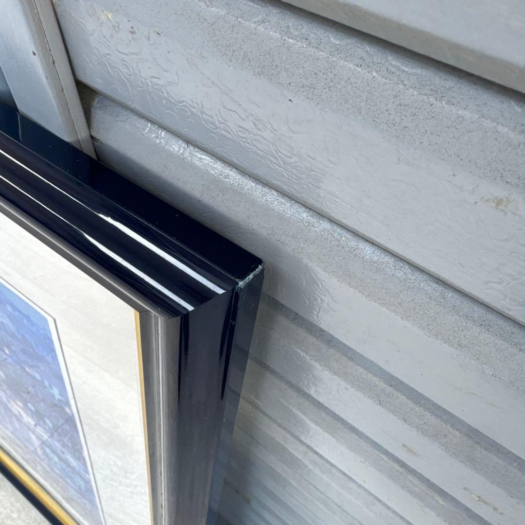 251/600 笹倉鉄平 メヴァギッセイ シンクスクリーン 大型 絵 - メルカリ