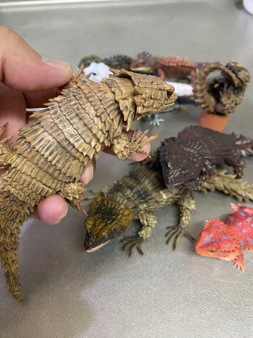 アルマジロトカゲ ほか 11体セット いきもの大図鑑 トカゲ