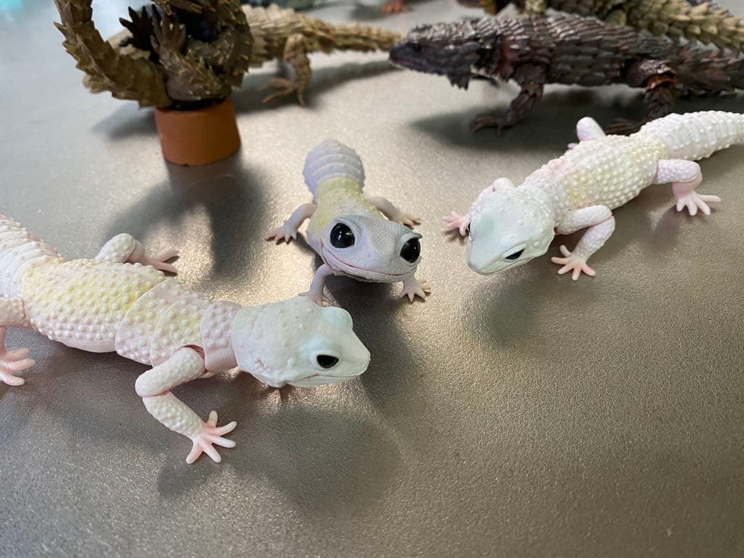 アルマジロトカゲ ほか 11体セット いきもの大図鑑 トカゲ