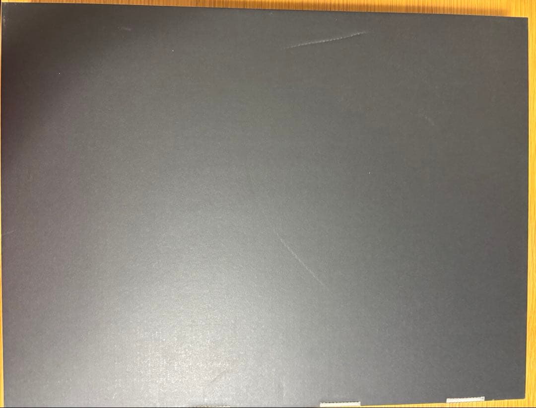 「白昼夢の青写真 in her Shoes」メタライズアートCASE-0