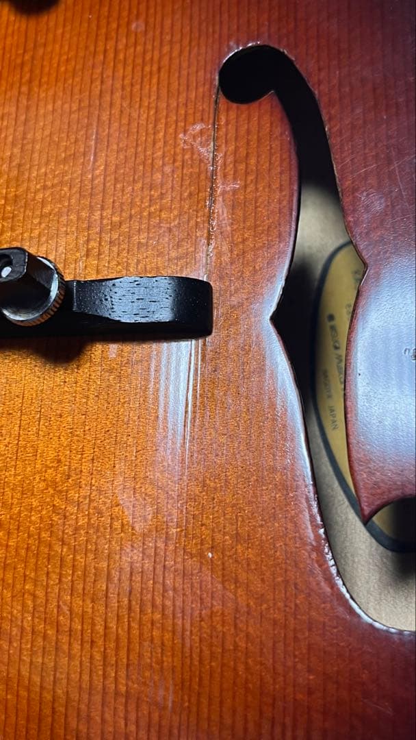 春日フラットマンドリン M-30 クリップピックアップ、ハードケース付き！